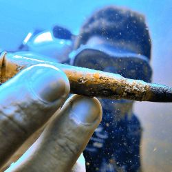 Aventuras fuera del mapa, pescamos los últimos pejes y anticipamos el tiempo lindo. 