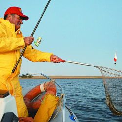 El flecha es muy voraz y hasta que no lo copeamos no sabemos si lo podremos concretar.