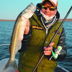 El flecha es muy voraz y hasta que no lo copeamos no sabemos si lo podremos concretar.