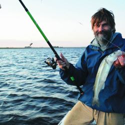 El flecha es muy voraz y hasta que no lo copeamos no sabemos si lo podremos concretar.