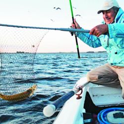 El flecha es muy voraz y hasta que no lo copeamos no sabemos si lo podremos concretar.