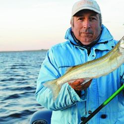 El flecha es muy voraz y hasta que no lo copeamos no sabemos si lo podremos concretar.