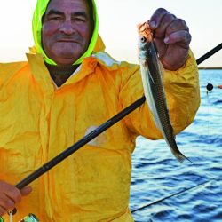 El flecha es muy voraz y hasta que no lo copeamos no sabemos si lo podremos concretar.