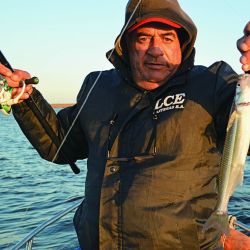 El flecha es muy voraz y hasta que no lo copeamos no sabemos si lo podremos concretar.