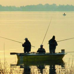 Cinco localidades a menos de 200 km de la Capital Federal reúnen exquisitos atractivos para disfrutar todo el año.