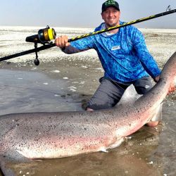 Tal como acostumbra el grupo de pescadores, el ejemplar fue marcado con las marcas biológicas para el proyecto “Conservar Tiburones en Argentina” y fue devuelto rápidamente a su hábitat, con la alegría de saber que siguen aportando a la conservación de la especie. 
