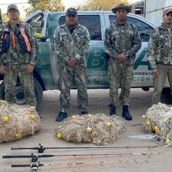 Estas acciones son parte de la política de preservación de los recursos naturales y cumplimiento de la normativa vigente. 