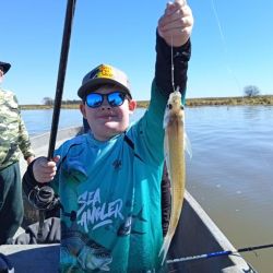El buen clima de los últimos días favoreció a que se den buenos rindes en muchos pesqueros.