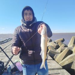 El buen clima de los últimos días favoreció a que se den buenos rindes en muchos pesqueros.