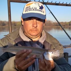 El buen clima de los últimos días favoreció a que se den buenos rindes en muchos pesqueros.
