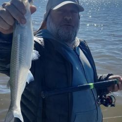 El buen clima de los últimos días favoreció a que se den buenos rindes en muchos pesqueros.