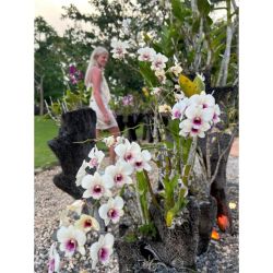 ¿Qué es AYURVEDA? ¿cuál es TU dosha? | Foto:CONTENTNOTICIAS