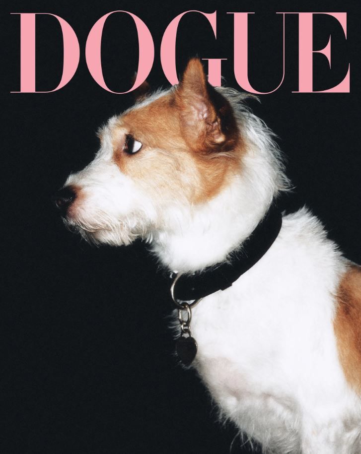 Hank para Dogue de Vogue