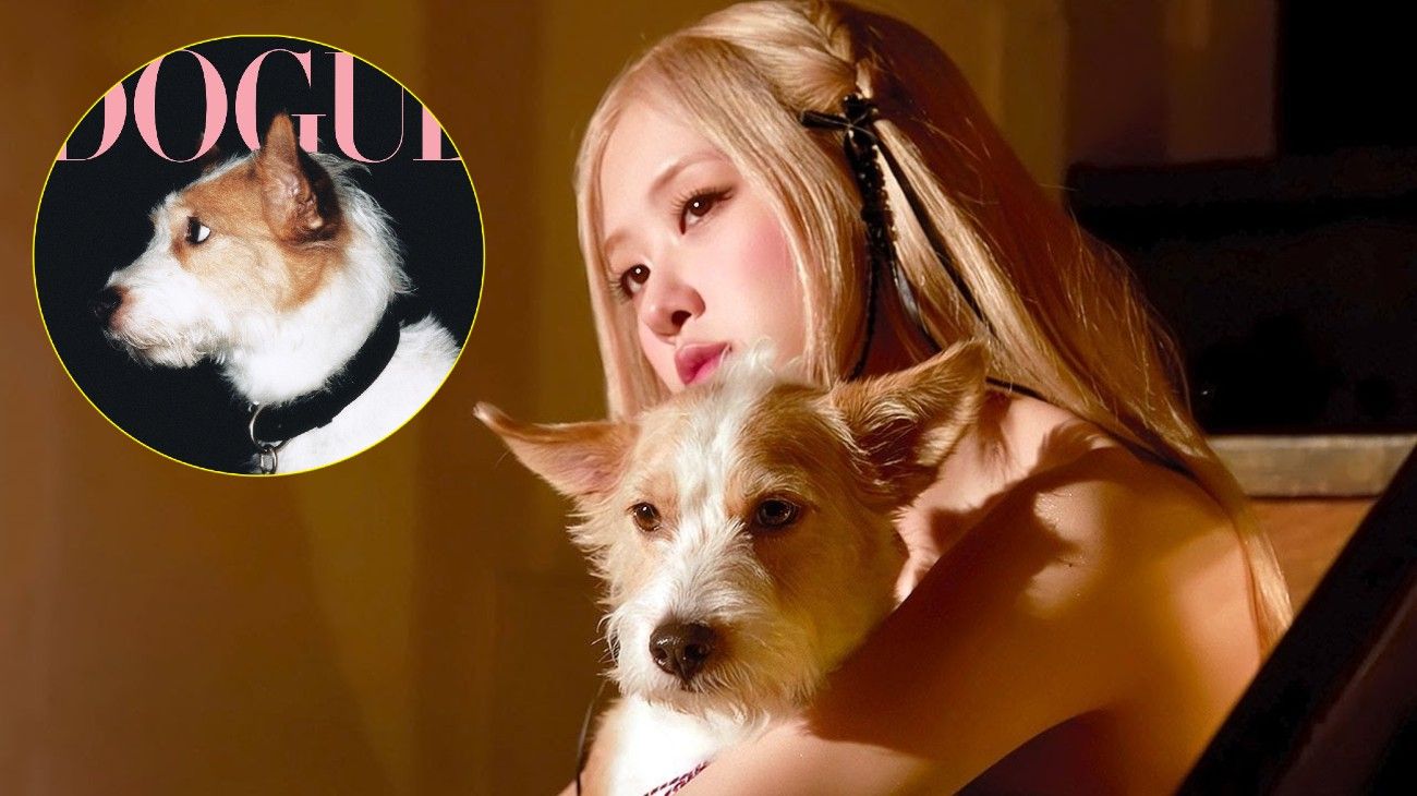 Rosé y Hank