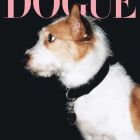 Hank para Dogue de Vogue