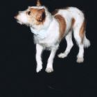 Hank para Dogue de Vogue