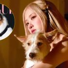 Rosé y Hank