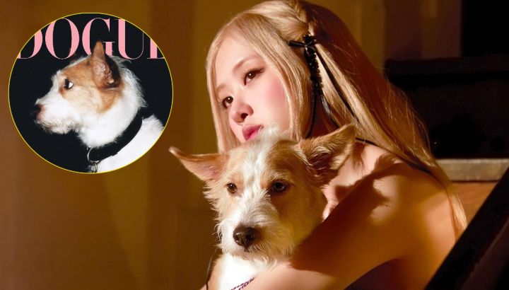 El perro de Rosé, Hank, protagoniza la portada de Dogue, la revista de moda canina de Vogue