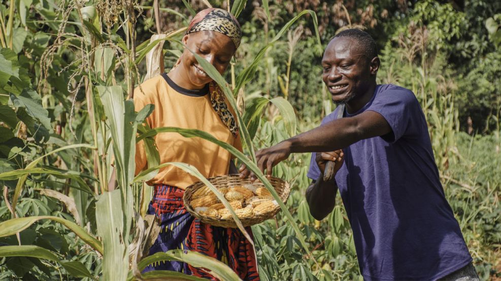 Agricultores y cultivos en el continente africano 29082025
