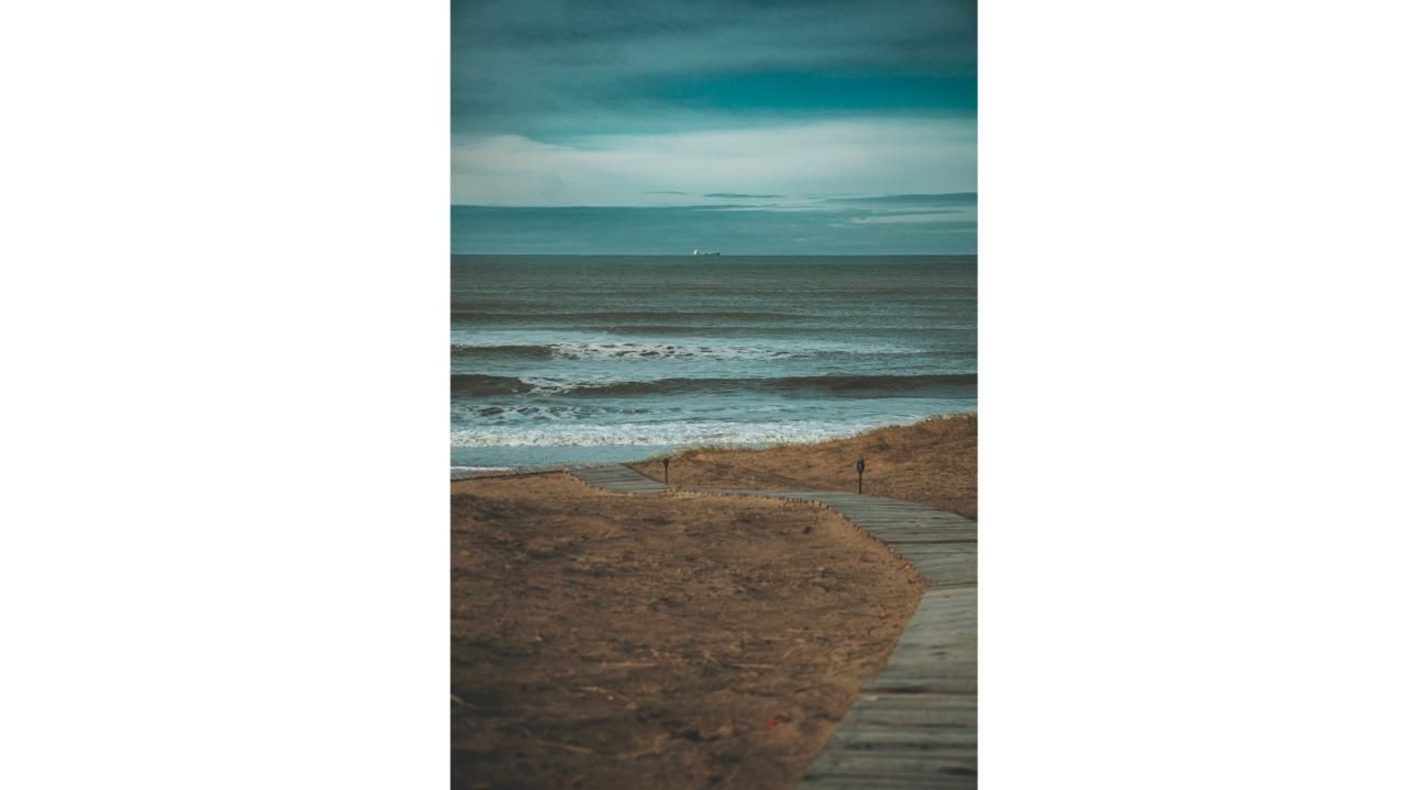 AV 366: Un punto de encuentro en plena naturaleza