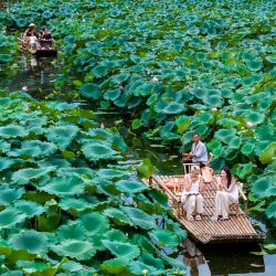 Imagen tomada con un dron de visitantes tomando una balsa de bambú, en la aldea de Chengkan, en la ciudad de Huangshan, en la provincia de Anhui, en el este de China. Durante las vacaciones de verano, las ciudades de la provincia de Anhui han aprovechado sus abundantes recursos montañosos e hídricos para desarrollar una "economía de refrescamiento", atrayendo a un gran número de visitantes. | Foto:Xinhua/Fan Chengzhu