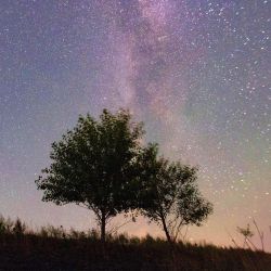 Imagen de la Vía Láctea vista en la ciudad de Fujin, en la provincia de Heilongjiang, en el noreste de China. | Foto:Xinhua/Liu Wanping