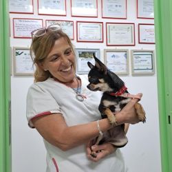 Por qué una clínica veterinaria es llamada "agente de salud" | Foto:CONTENT NOTICIAS