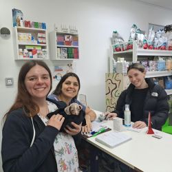 Por qué una clínica veterinaria es llamada "agente de salud" | Foto:CONTENT NOTICIAS