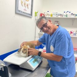 Por qué una clínica veterinaria es llamada "agente de salud" | Foto:CONTENT NOTICIAS
