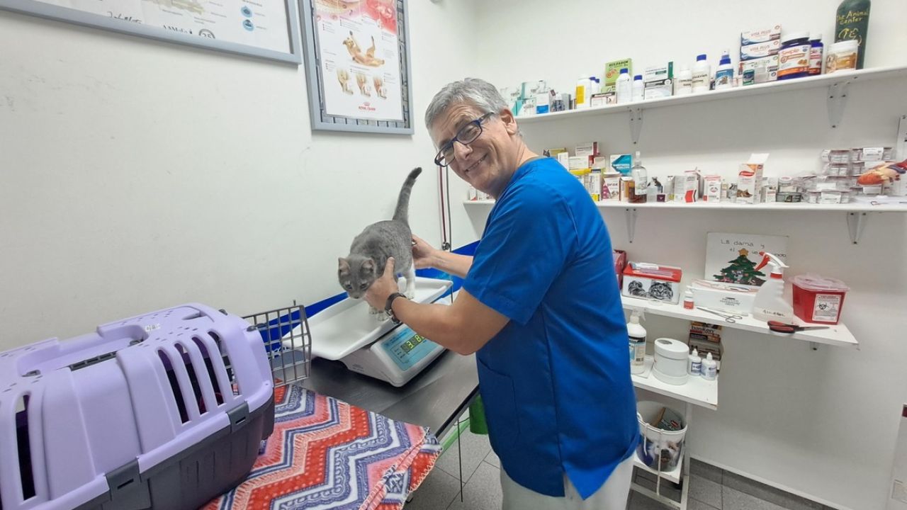 Por qué una clínica veterinaria es llamada "agente de salud" | Foto:CONTENT NOTICIAS