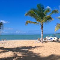 Flor de Viaje te lleva al paraíso caribeño: Viva Miches by Wyndham