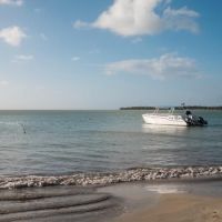 Flor de Viaje te lleva al paraíso caribeño: Viva Miches by Wyndham