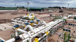 Darío Irigaray: “Vaca Muerta repuntará recién en 2025 con nuevas obras”