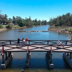 Uruguay ofrece un menú de actividades tranquilas para disfrutar en el interior del país.