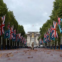 Banderas de la Real Fuerza Aérea Británica y de la Union Jack ondean a lo largo del Mall, con el Palacio de Buckingham como telón de fondo, en el centro de Londres, antes del día de la Batalla de Inglaterra, el 15 de septiembre. | Foto:Adrian Dennis / AFP
