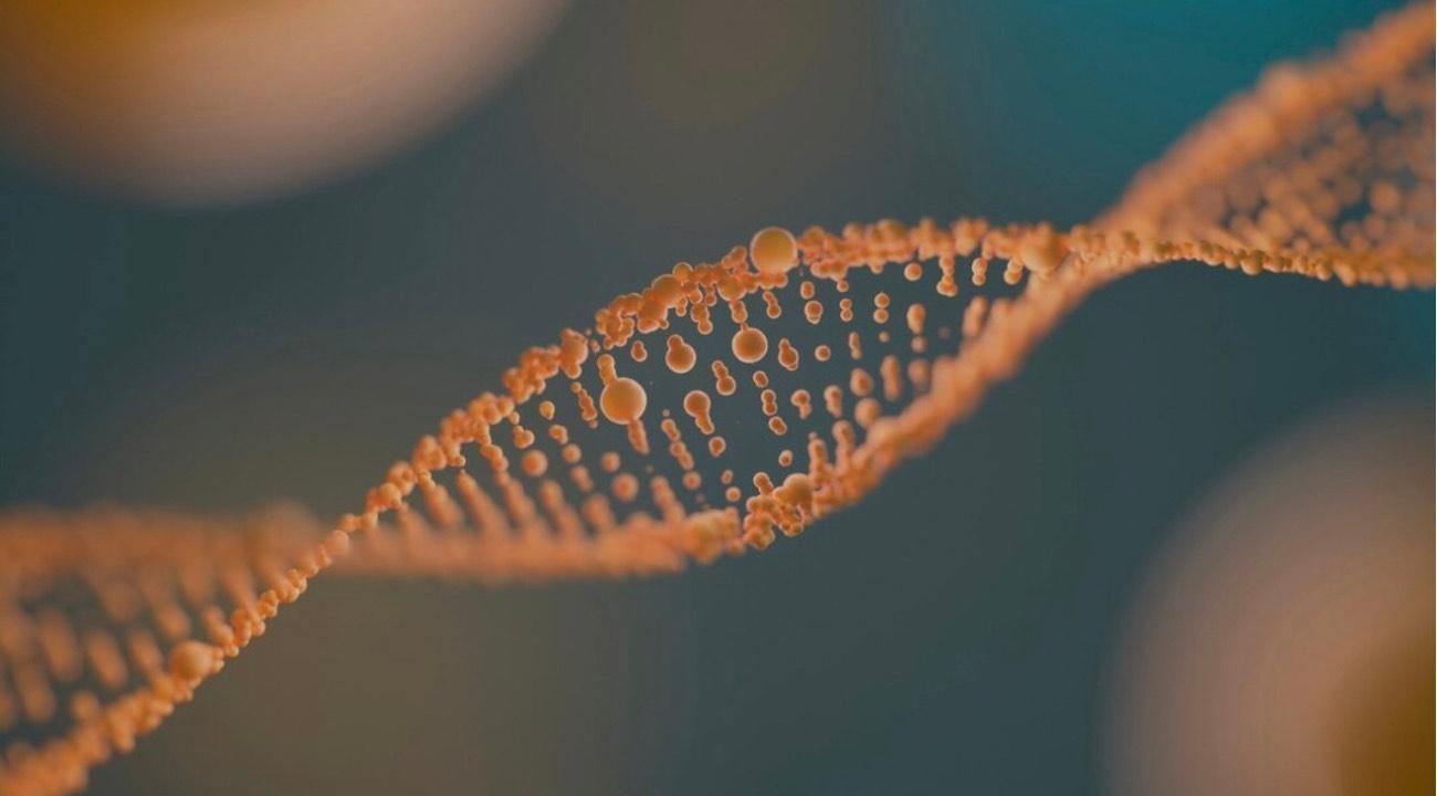 Epigenética: el futuro de la salud, la belleza y la longevidad