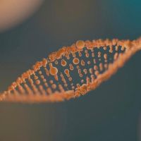Epigenética: el futuro de la salud, la belleza y la longevidad