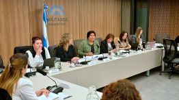 Audiencia definición Defensor del niño 03092025