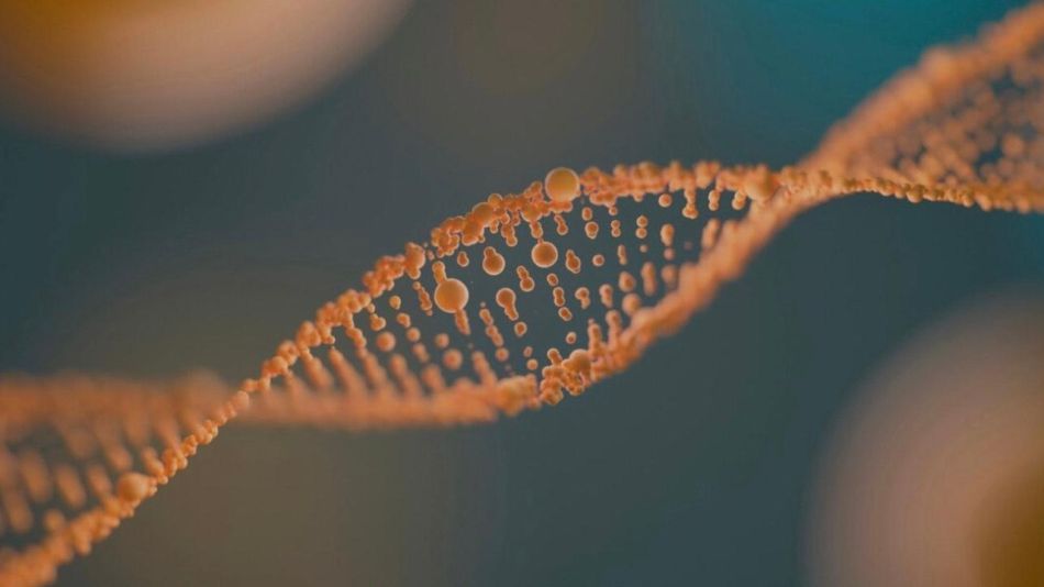 Epigenética: el futuro de la salud, la belleza y la longevidad