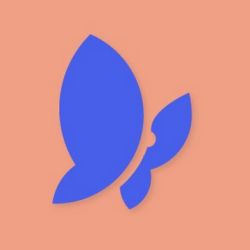 MS Coaching | Foto:contentnoticias