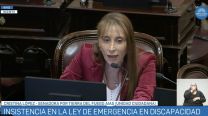 El hit "Alta coimera" llegó al Senado en la sesión por Discapacidad