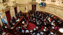 Discapacidad Senado 04092025
