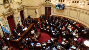 Discapacidad Senado 04092025