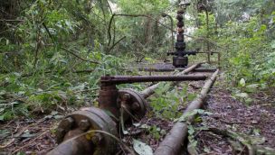 Petroleras en PN Calilegua 3