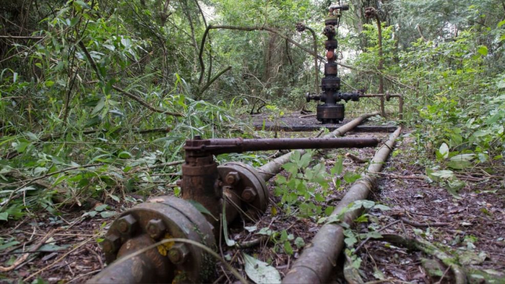 Petroleras en PN Calilegua 3