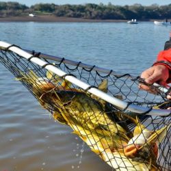Concordia se prepara para vivir una fiesta deportiva que combina naturaleza, tradición y turismo, reafirmando el valor del Encuentro del Bagre Amarillo como uno de los certámenes más emblemáticos del calendario provincial. 