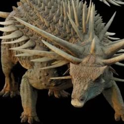 Es el primer dinosaurio acorazado encontrado en Africa.