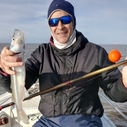 El inicio de la veda en aguas interiores de la provincia de Buenos Aires limita acción al fin de semana, con cupos diferentes de acuerdo al ámbito. Las buenas temperaturas favorecieron el pique en la mayoría de los espejos clásicos la semana anterior, aunque en los últimos días volvieron el frío y las heladas.