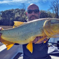 El inicio de la veda en aguas interiores de la provincia de Buenos Aires limita acción al fin de semana, con cupos diferentes de acuerdo al ámbito. Las buenas temperaturas favorecieron el pique en la mayoría de los espejos clásicos la semana anterior, aunque en los últimos días volvieron el frío y las heladas.