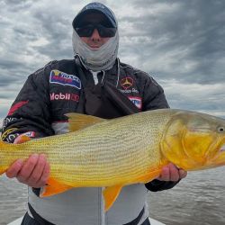 El inicio de la veda en aguas interiores de la provincia de Buenos Aires limita acción al fin de semana, con cupos diferentes de acuerdo al ámbito. Las buenas temperaturas favorecieron el pique en la mayoría de los espejos clásicos la semana anterior, aunque en los últimos días volvieron el frío y las heladas.